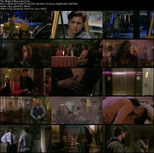 Illegal in Blue (1995)