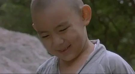 Bom yeoreum gaeul gyeoul geurigo bom / Spring, Summer, Fall, Winter... and Spring (2003)