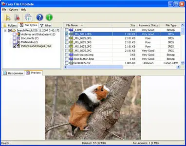 Easy FAT File Undelete v2.5