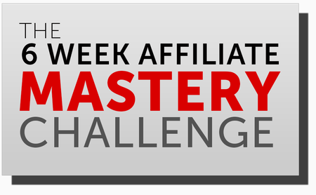 STM - 6 Weeks Affiliate Mastery Challenge (2017)