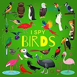 I Spy Birds: A Fun Guessing Game Picture Book for Kids Ages 2-5 (I Spy Books for Kids 4)