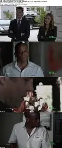 Psych S06E06