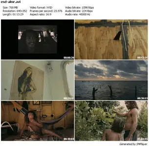 To The Sea (2009)