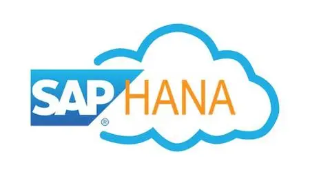 SAP BW 7.5 Powered by HANA - 2022 : Learn Step by Step