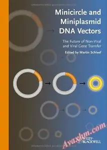 Minicircle and Miniplasmid DNA Vectors: The Future of Non-viral and Viral Gene Transfer