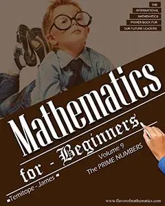 The Prime Numbers: Mathematics for Beginners