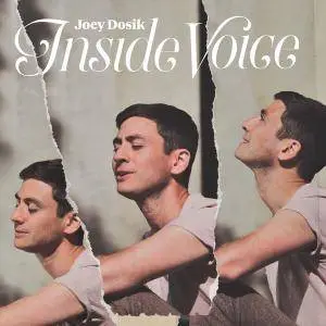 Joey Dosik - Inside Voice (2018) [Official Digital Download 24/96]