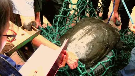 Extinct or Alive S02E06