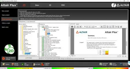 Altair Flux 2020.0