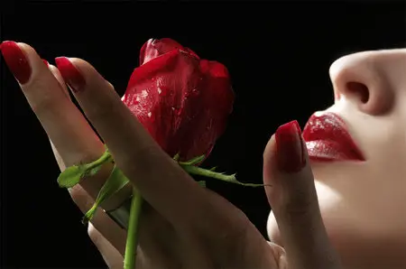 Rose & Lips