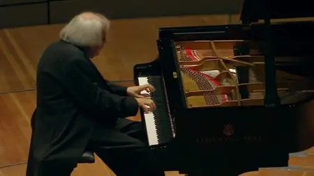 Grigory Sokolov plays Schubert, Beethoven, Rameau and Brahms (2014) [HDTVRip, 720p]