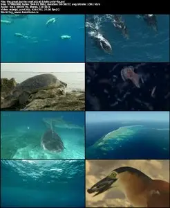 Great Barrier Reef S01E03 "Reef And Beyond"