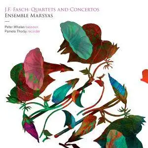 Peter Whelan, Pamela Thorby & Ensemble Marsyas - J.F. Fasch: Quartets and Concertos (2014) [Official 24-bit/192kHz]