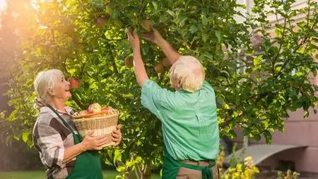 Growing Fruit Trees In Your Garden