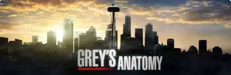 Grey's Anatomy - S07E01: With You I'm Born Again