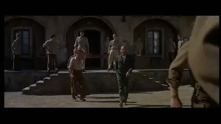Von Ryan's Express (1965)