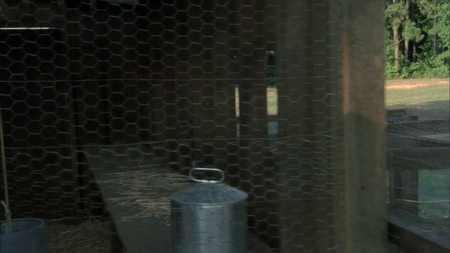 The Walking Dead S01-S05 [Complete All Season ] (2010-2015)