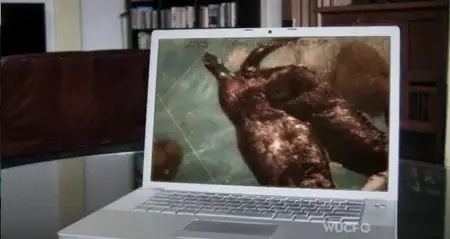 PBS - Nature: Saving Otter 501 (2013)
