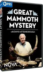 PBS - Nova: Great Mammoth Mystery (2022)