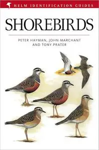 Shorebirds (Helm Identification Guides)