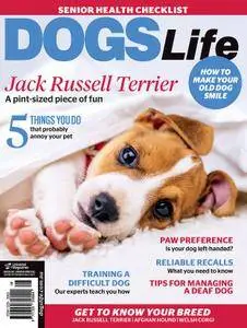 Dogs Life - August 01, 2017