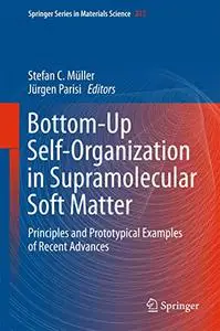 Bottom-Up Self-Organization in Supramolecular Soft Matter: Principles and Prototypical Examples of Recent Advances (Repost)