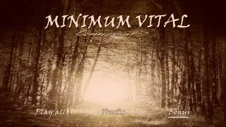 Minimum Vital - Connexions (2016)