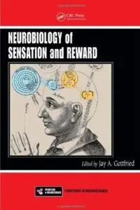 Neurobiology of Sensation and Reward [Repost]