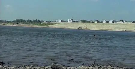 Betelnut (2006)