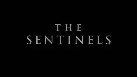 History Channel - Ancient Aliens: The Sentinels (2018)