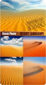 Desert landscape - Stock Photo