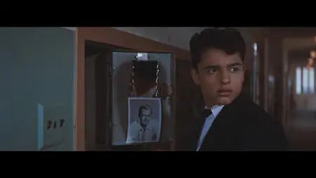 Rebel Without a Cause (1955)