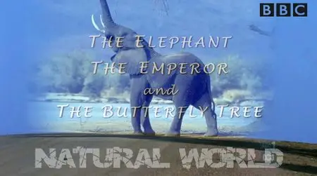BBC Natural World - The Elephant, The Emperor and The Butterfly Tree (2003)