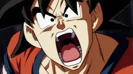 Dragon Ball Super (2015 S05E21 Survive! The Tournament of Power Begins at Last!! ZR