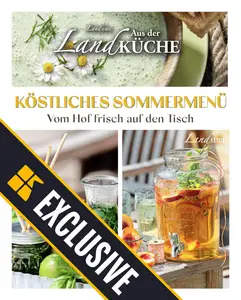 LandIDEE LandKüche - 16 Juni 2025