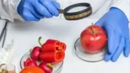 ISO 22000:2018 Lead Implementer