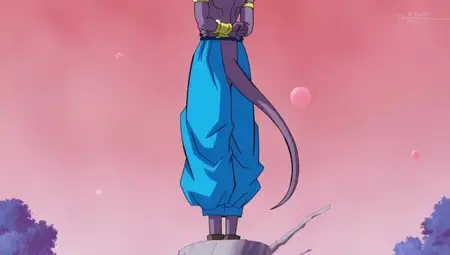 Dragon Ball Super 005
