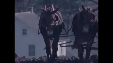 The Amish: A People of Preservation (1975)