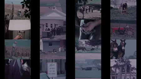 The Amish: A People of Preservation (1975)