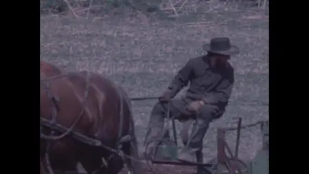 The Amish: A People of Preservation (1975)