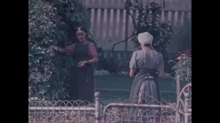 The Amish: A People of Preservation (1975)