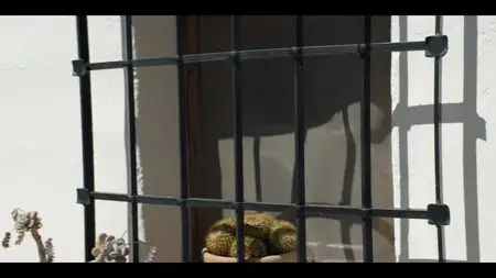 Graves S01E02