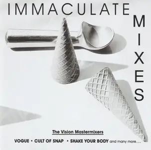 The Vision Mastermixers - The Immaculate Mix (1997) CD-Rip