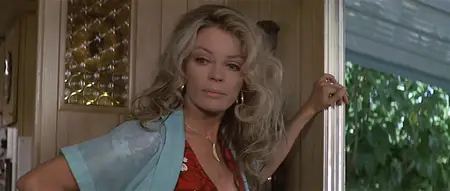 Breakout (1975) [MultiSubs]