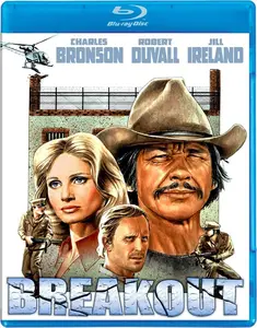 Breakout (1975) [MultiSubs]