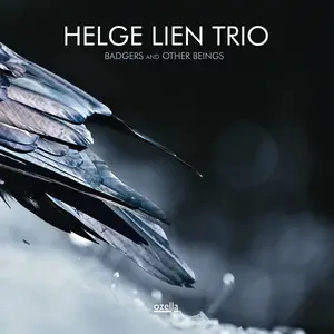 Helge Lien Trio - Badgers And Other Beings (2014) [Official Digital Download 24bit/96kHz]