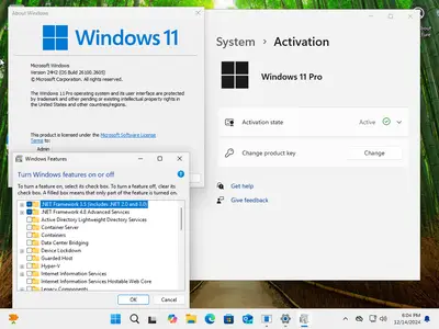 Windows 11 Pro 24H2 Build 26100.2605 (No TPM Required) With Office 2024 Pro Plus Multilingual Preactivated December 2024