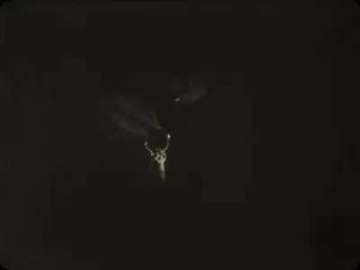 He Who Gets Slapped (1924)