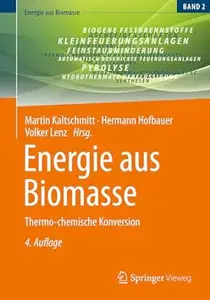 Energie aus Biomasse: Thermo-chemische Konversion , 4. Auflage