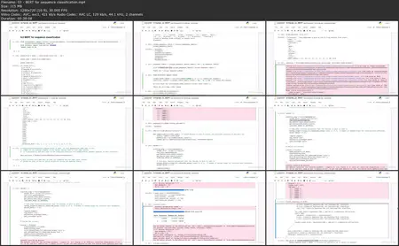 Introduction to Transformer Models for NLP [Released: 10/22/2024]